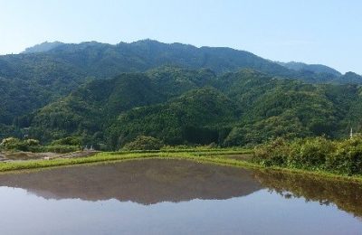 田んぼと山