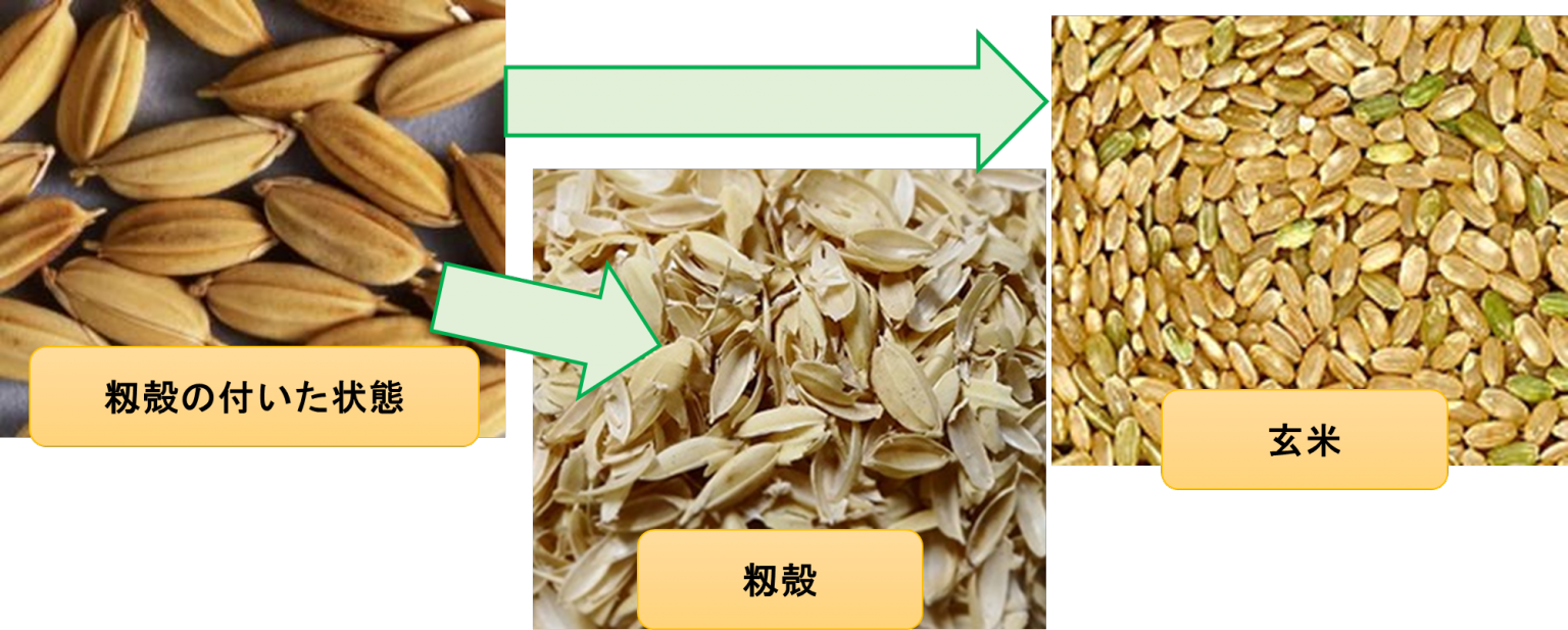 我が家の恒例行事⑤(籾摺り編)|株式会社 戸高製作所